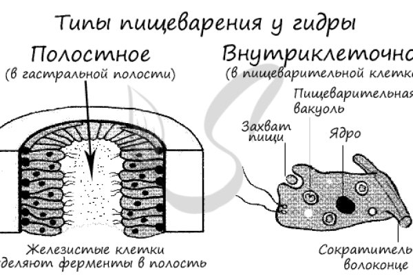 Кракен тор ссылка онион